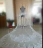 Immagine reale Veli da sposa a due strati Veli da sposa romantici di lunghezza della cattedrale con applique in pizzo Veli di cristallo bianco o avorio Vendita calda