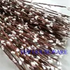 400 stks Groothandel 40cm DIY Mooie Pip Berry Stem voor Floral ArecationManet Crafts Wedding Garland Decoration Accessories