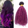 Radice scura 1B / Ombre viola Fasci di capelli umani peruviani Ricci crespi 2 toni Ombre viola colorati Estensioni dei capelli umani vergini