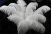 ウェディングパーティーの装飾アクセサリーの結婚式の装飾g1093を作るDiyジュエリー工芸品のための30-35cmの美しいダチョウの羽