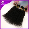 Extensions de cheveux malaisiens Double trame crépus bouclés cheveux non transformés armure péruvienne cheveux bouclés mélange longueur 8 "-30"