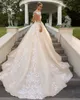 Bescheiden lange mouw trouwjurken Sheer halslijn open rug kant geappliceerd bruids jurk 2018 land tuin baljurken