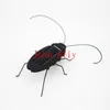 New toy Kids Solar Toys Power Energy Solar Cockroach 6 Legs Black Children Insect Bug Teaching Fun Gadget Toy Gift For Kids