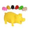 Pet Pig Latex Toy with Real Squeak Assorted Colors for Small Medium Dogs Cats Pets Small Animals Assorted Colors