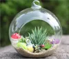 4PCS/set 5inch Glass Globe Terrariums,Hanging Planter Terrarium Kit For Garden Supplies,Housewarming Gift Home Decor,Wedding Candlestick