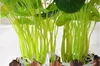 Green Silk lotus leaf artificial flowers 12 heads with white barba real touch cloth pure hand made Process free shipping DT005