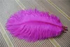 Prefect Natuurlijke roze Struisvogelveren 1012 inch Bruiloft Decoratie bruiloft middelpunt party decor evenement aanbod1019457