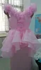 Pink Organza Prom Dresses 2015 مع Cap Sleeves v Neck Ruched and Handmade Flower Great مع تنورة مع Peplum و Train9864436