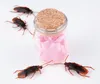 Prettybaby April fools' day tricky toys simulation Cockroaches realistic funny prank joking fake blackbeetle toys Pt0206#