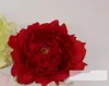 15 cm teste di fiori artificiali di peonia Fiore di seta per la decorazione della festa nuziale Forniture Simulazione Testa di fiore finta Decorazioni per la casa ns