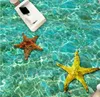 Carreaux de sol 3D de salon de salle de bains d'étoile de mer ondulée peignant le papier peint de PVC