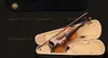 عالية الجودة الآلات الموسيقية الفرس الكمان 3/4 الكمان الحرفية violino مع قضية الصنوبر