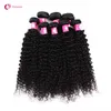 Partihandel 10bundlar / Parti 7a Virgin Brasilianska Afro Curly Wave Hair Weaves 1B Naturlig Black Human Remy Hair Weft för Black Women Forwme