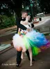 Ny Ankomstfärgad Rainbow Bröllopsklänningar Romantisk Puffy Ball Gown Halter Tulle Long Dream Princess Bridal Party Gowns