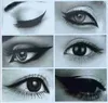 DHL 6 In 1 Multifunction Eye Stencil Cat Eyeliner Stencil For Eye Liner Template Card Fish Tail Double Wing Eyeliner Sten1625158