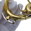 Новый начинающий краска Gold Drop B Регулируемая BB Trumpet с набор для мундштука для студенческой школьной группы Golden1647559