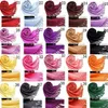 Misture 40 cores 50pcs/lot lenços imitação de lenços de caxemira Pashmina Shawl, lenço nova lenços femininos envoltem lenços 1528