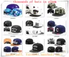 Yeni Snapback Şapka Kap Cayler Sons Snap geri Beyzbol futbol basketbol özel Caps ayarlanabilir boyutu damla Nakliye albümü CY16 seçin