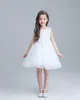 Högkvalitativ vit Big Bow Girls Klänningar för Tulle Lace Spädbarn Toddler Pagant Flower Girl Dress För Bröllop och Födelsedag Specialerbjudanden