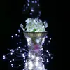 Flexible USB-Kupferdraht-LED-Lichterkette, 5 V, wasserdichte Streifenlichter, WW TW, Weihnachten, Hochzeit, Party, Weihnachten, Fahrrad-Dekoration