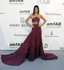 Kendall Jenner 2 stuk Prom Jurken Red Carpet Celebrity Jurken Oscar Purple Avond Feestjurken Maxi Jurk Vestido de Festa Longo Criss