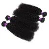 4pcs Mongolisch brasilianisch versausches lockiges Haarwebbündel Afro mongolisch Kinky Curly Human Hair Extensions Brazilian Kinky Curly Hai5300471