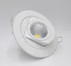 Regolabile 15W Bianco caldo / Bianco naturale / Bianco freddo COB LED Gimbal Lampada da tronco a led incorporata Accendino rotondo COB AC85-265V