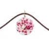 芽の絹の花乾燥花のネックレスのガラスの球の時間宝石の革コードペンダントチェーンの鎖骨
