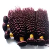 Kinky Curly Péruvien Cheveux Humains Bourgogne Extensions de Trames de Cheveux 99J Vin Rouge Péruvien Cheveux Weave Bundles Kinky Curly 3Pcs Lot