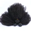 10quot30quot 3 stks veel Peruaanse Afro Kinky Krullend Haar Weave Natuurlijke Kleur Peruaanse Human Hair Extensions Afro Kinky Krullend Haar6631663