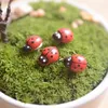 Sztuczne Mini Lady Bugs owady BEATLE Fairy Garden Miniatury Moss Terrarium Decor Resin Crafts Bonsai Home Decor