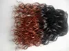 new style brazilian remy T1B/350 hair weft ombre brown color human hair extensions 100g one bundle 3 bundles for full head