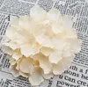 18cm71quot Hortensia artificiel Hortensia Decorative Silk Flower Head for Wedding Wall Archdiy Hair Flower Decoration Accessory Pro5722804