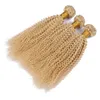 Hoogwaardige Maagdelijke Braziliaanse Blonde Hair Extensions Kinky Krullend 3 Stuks 613 Bleekmiddel Blonde Menselijk Haar Weave Bundels 1030quot Dubbele 5274142