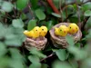 Mini nid avec oiseaux, miniatures, joli, mignon, nain de jardin féerique, décoration de terrarium en mousse, artisanat, bonsaï, maison de poupée, bricolage, 20 pièces