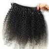 8A obearbetad malaysisk kinky lockigt hår 3 Bundleslot Human Hair Weave Afro Kinky Curly Hair Weft för kvinna 6786865