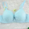 Partihandel-Sexiga Kvinnor Broderi Lace Underkläder Underkläder Push-up Padded Bra Set Brassiere