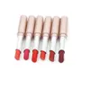 Régulaires de maquillage à lèvres Rouge à lèvres colorés 24 pcs 12 couleurs humides Stick Stick-Stick-Lèvre rouge P8516 NET: 1.7G