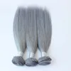 3Pcs Hair with Closure Human Hair Grey Brazilian Straight Silver Grey Hair Extensions Grey Weave Bundles With Closure In Stock