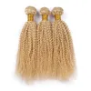 Blondin Afro Kinky Hair Bundles # 613 Platinum Blondin Djup Kinky Curly Mongolian Virgin Human Hair Top Quality Hair Weft 3pcs