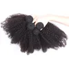 Brasilianische 44 Top Verschluss Mit Haar Bundles Natürliche Farbe Menschliches Haar Afro Verworrene Lockige 3Pcs Menschliches Haar Mit Spitze verschluss 4PcsLot7110830