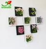 Bitki çerçeve duvarının Simülasyon fazla et bitki çerçeve duvar simülasyon çiçek duvar dekorasyon simülasyon monte