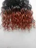 new style brazilian remy T1B/350 hair weft ombre brown color human hair extensions 100g one bundle 3 bundles for full head