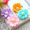 50pcs lot pet dog hair bows Clip petal flowers hairpin with pearls pet dog grooming bows dog hair accessories product251I