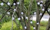 20 LED Outdoor Solar Lamps LED Globe ball String fairy light solar light christmas garland waterproof garden street decor Light