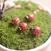 Sztuczne Mini Lady Bugs owady BEATLE Fairy Garden Miniatury Moss Terrarium Decor Resin Crafts Bonsai Home Decor