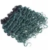 Två tongrön djupvåghår förlängning 3 buntar djupvåg Curly Green Ombre Peruvian Virgin Human Hair Weft 3pcs / Lot