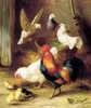 Gallo galline anatra Dipinto a olio di arte classica dipinta a mano su tela Museo Qualità in Multi formato scelto