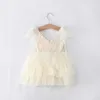 Baby tjejer 1 till 5 år sommar suspender tulle klänningar, barn klänning, barn boutique tutu sling kläder, r1es505ds-55