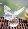 DHL fedex livraison gratuite Collection de cristal précieux papillon Souvenir faveurs de fête de mariage pour les invités + 100 pcs/lot + livraison gratuite